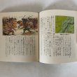 画像7: 長野の歴史ものがたり 昭和54年 信州社会科教育研究会 株式会社日本標準 長野県 (7)