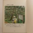 画像4: 屋島の施業 1972年 高知営林局 香川県 (4)