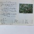 画像4: さぬきの自然の旅 小豆島の自然 昭和51年 香川県自然保護課 香川県 (4)